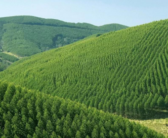 白銀市平川區(qū) 龍鳳山生態(tài)修復工程項目簡介